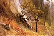 Landscape Study, Yosemite California Albert Bierstadt